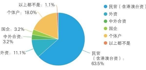 个体工商户年度报告