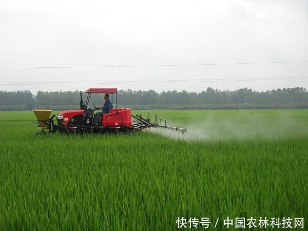 一文读懂:新型职业农民的申请条件、申请方式