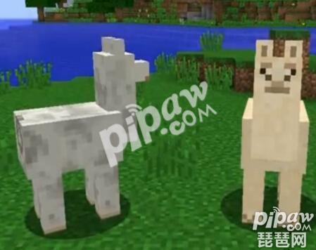 我的世界羊驼怎么控制方向 骑着羊驼能改变方