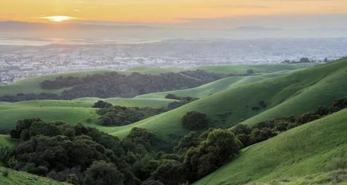 薪水加倍招不到消防员:美国最火城市,20年烧