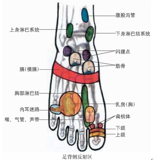 检查一下脚面小趾和无名趾上面二,三指宽度的地方(内耳迷路反射区)