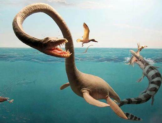 蛇颈龙和翼龙都不是恐龙, 关于恐龙有哪些你不知道的事实?