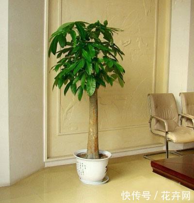 t014214ac5e366338e4.jpg