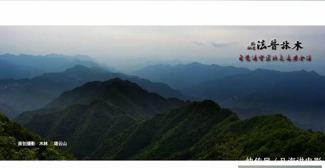 交强险保险条款