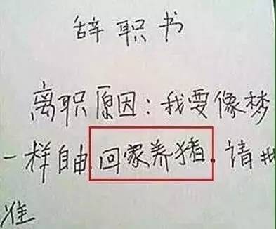 【转】北京时间 word天!简单一封辞职信竟曝光这么多内幕 - 妙康居士 - 妙康居士~晴樵雪读的博客 【转】北京时间 word天!简单一封辞职信竟曝光这么多内幕 - 妙康居士 - 妙康居士~晴樵雪读的博客