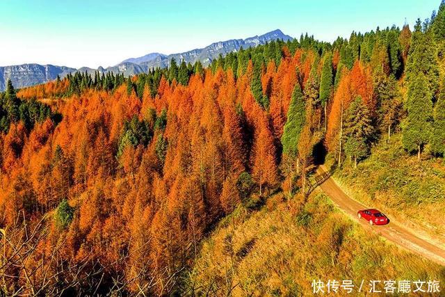 它比重庆洪崖洞火得更早！修炼亿年只为与你相遇