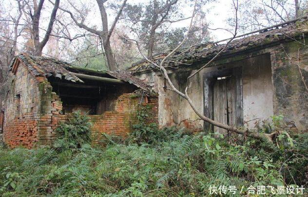 合肥农村空心房被拆,网友问为什么,听听村长怎么说!