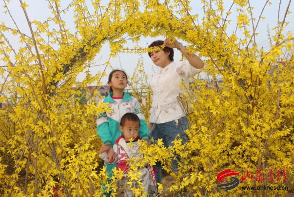 沂水县四十堡镇:美丽乡村入画来