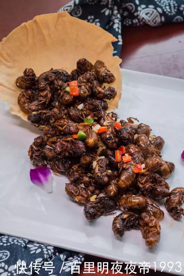 藏身1000别墅的招牌别墅,吃饭要懂易经,私家饭店丽水v别墅spa图片