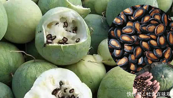 误以为是西瓜,只吃籽却不吃肉,黑瓜子原来出自