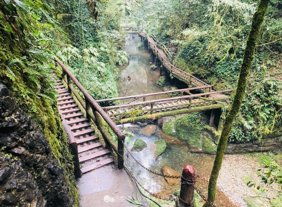 青城后山，没进都江堰的都江堰之旅