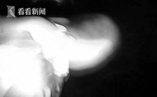 t0147b93d571ae3f632.png?size=540x335