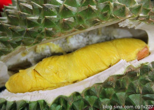 那为什么猫山王榴莲 那 么 贵_360问答