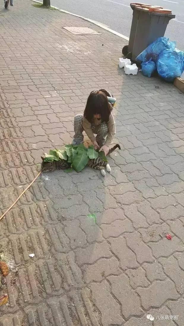 看到猫躺在地上,这个小女孩竟然