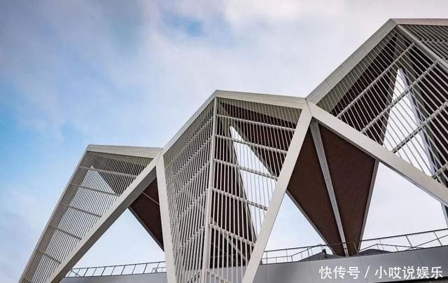 确认合同无效纠纷