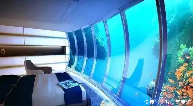 兰博基尼警车、疯狂的建筑、不可思议的宠物......这是迪拜人的生