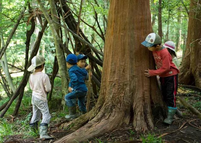 欧盟gdp1965_欧盟旗帜