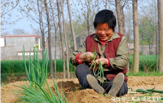 我抛弃农村养母，进城认生母，5年后再见养母，我沦为村里笑话