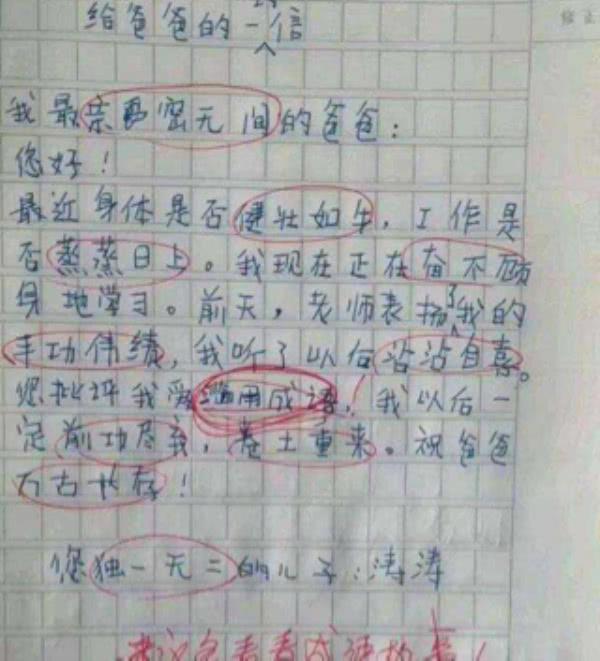 小学生写评语:金鱼淹死在作文里,鱼缸的老师亮后进生小学图片