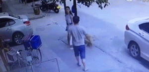 t0150c1c3ffc2c63f39.gif?size=300x146