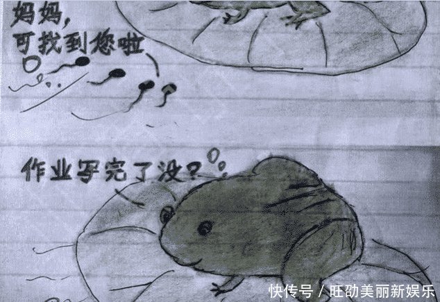 小学生走红第一老师倒数,智商你的试卷已经不城东舟山定海小学图片