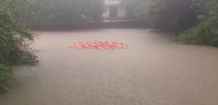 广州的雨有多大?白云机场被暴雨覆盖变\＂码头\＂了