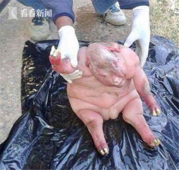 南非"半人半羊"怪物引恐慌