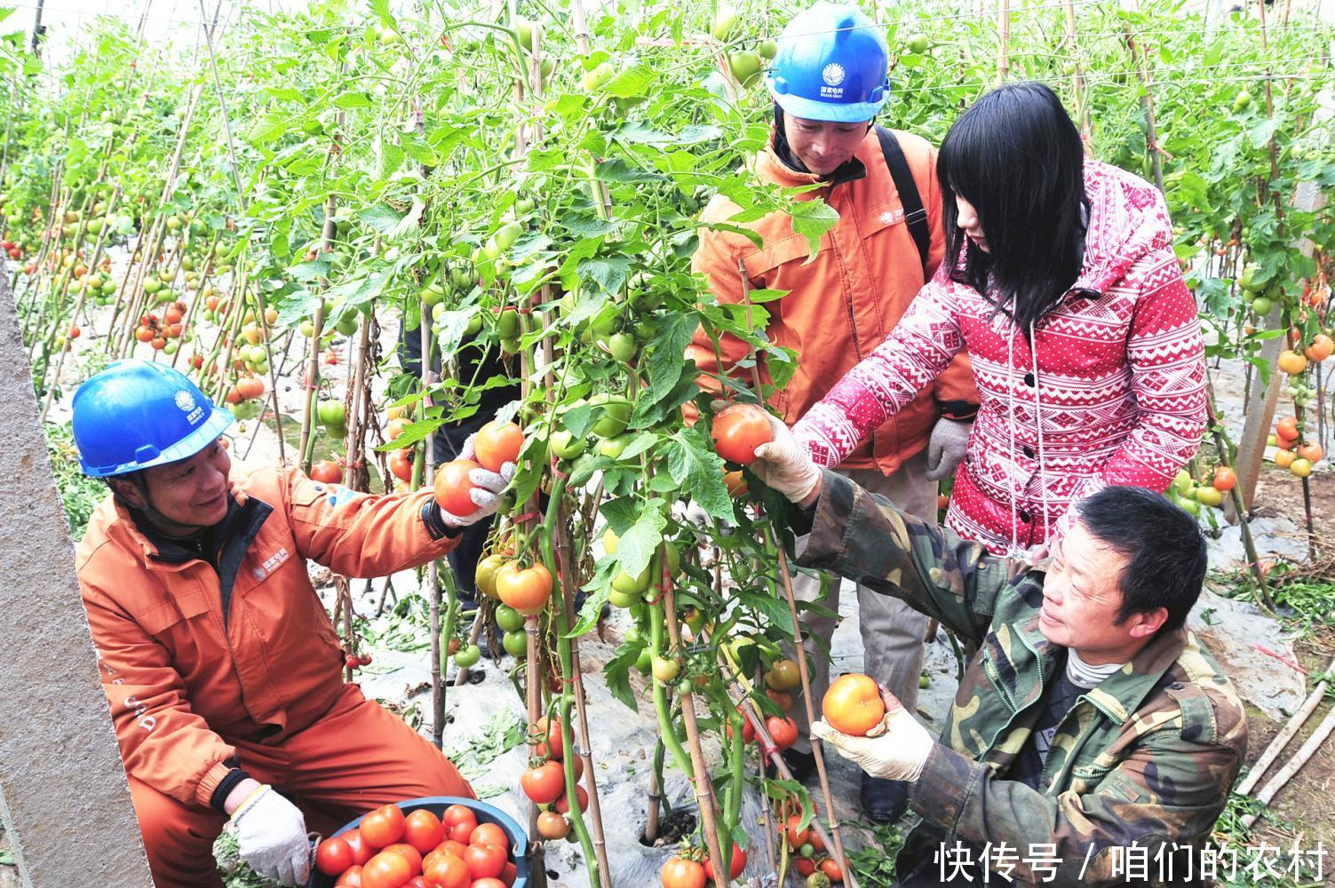 农村发家致富的新方法，如何在自己家门口发财，快来了解一下吧