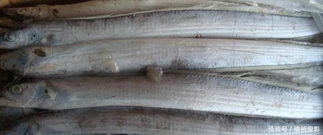 市面上卖的带鱼是深海带鱼还是养殖的带鱼今天