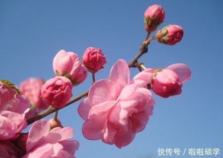 6月福运双至，这三大生肖得财神厚爱，达到富贵顶端，富贵逼人！