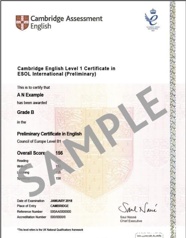 意见是什么意思