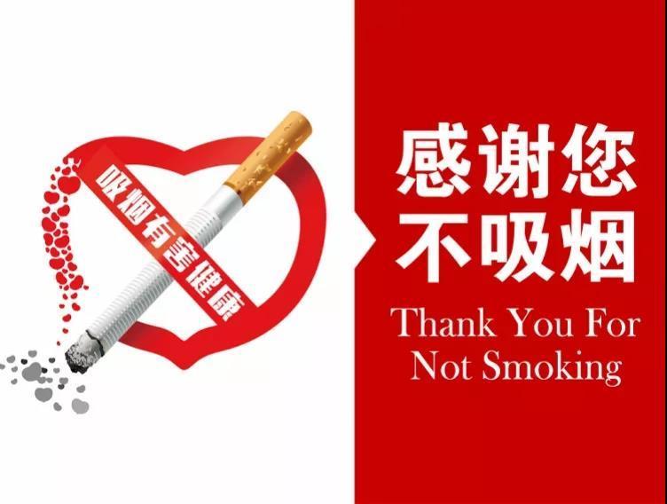 t0155aac2beeeea6f9d.jpg?size=752x568