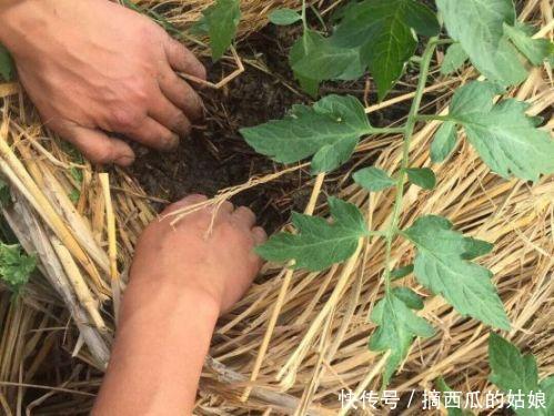 走访了100家生态小农场,成功的只有十分之一,都有这3个特点