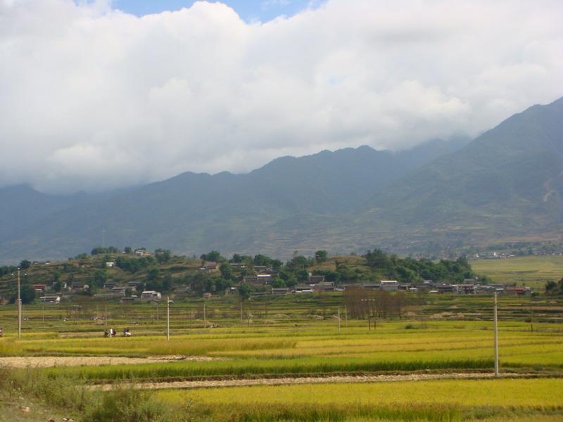 村情概况 仁山村隶属云龙县漕涧镇,地处漕涧镇东南边,距镇政府所在地4