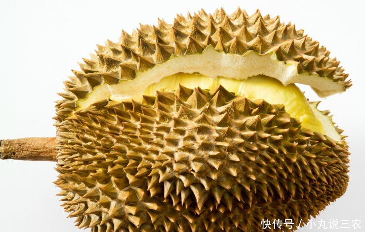 农村俗话:一只榴莲三只鸡,榴莲多种功效大家不