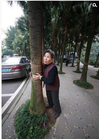 [转载]重庆大爷大妈撞树"树疗" 场面火爆