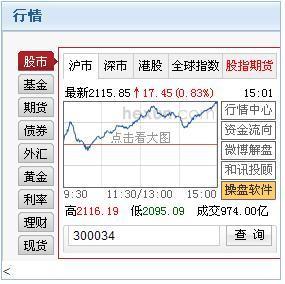 怎样在深圳证券网上找到股票300034_360问答