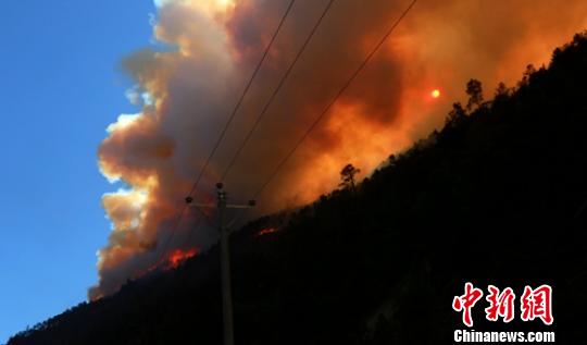 四川雅江\＂2.16\＂森林火灾仍在扑救 无人员伤亡