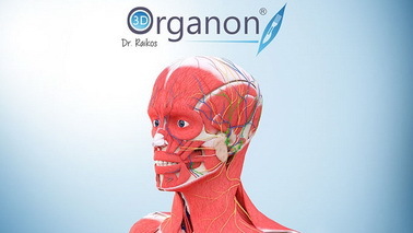 Organon VR助力医学生学习解剖技术 医生与病人皆可用