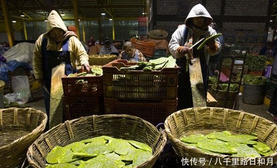 这个国家的人天天吃仙人掌,当地百姓直呼:长太