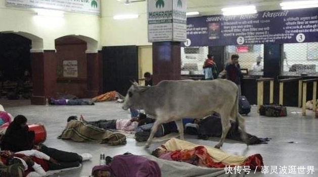 印度人坐中国高铁,激动的哭了,直呼:我被印媒欺