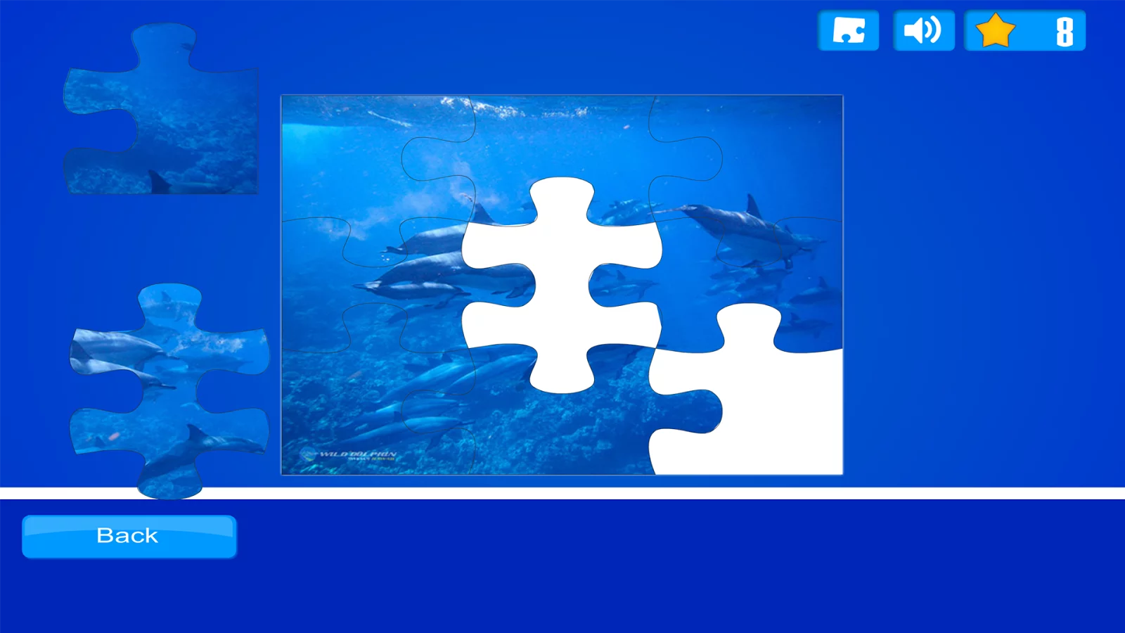 Dolphin Puzzles截图12