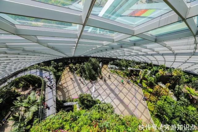 这是什么节奏?新加坡竟然花了10亿打造“原始森林”