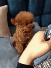 搞笑gif图片:这妹子的表情让我笑了,她到底在做什么