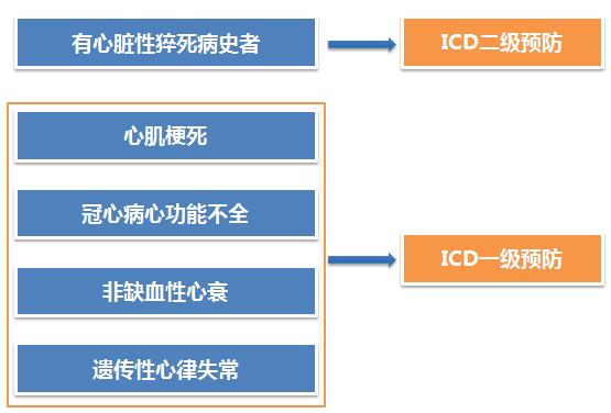 面对心脏性猝死，我们能做什么?