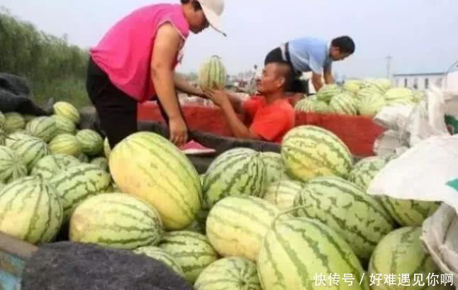 同样是“卖西瓜”,日本价高,韩国精致,看到印度要用手抓 赌博直营游艺