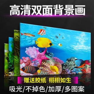 北京大型魚(yú)缸批發(fā)市場(chǎng)（北京大型魚(yú)缸批發(fā)市場(chǎng)在哪里）