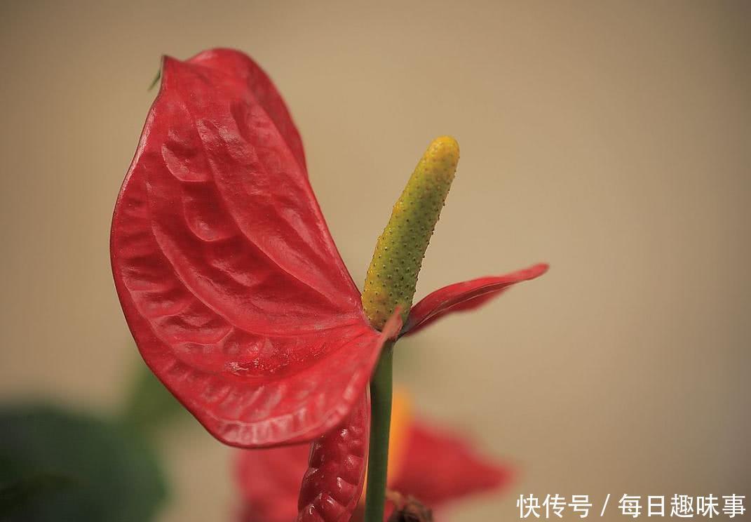 谁属这3大生肖,5月下旬财气高人一等,进账数一数二,财神爷保佑