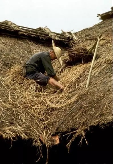 90年代中国农村老照片:满满的回忆,第五张很多