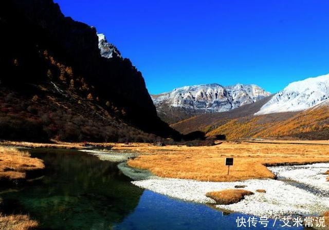 这三个生肖在五月红鸾星动，遇真爱促美好姻缘